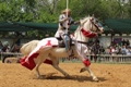 Step Back in Time at Scarborough Renaissance Festival