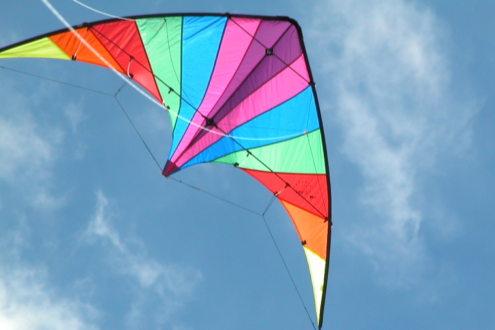 Celebrate Spring at Fest of Tails Kite Festival and Dog Fair | San Antonio, Texas, USA