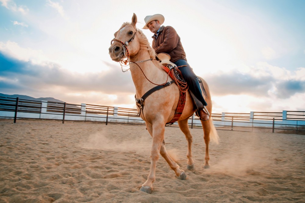 Fort Worth Stock Show and Rodeo Provides Chance to Experience Western Lifestyle | Fort Worth, Texas, USA